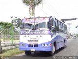 Colectivo Los Andes (Mrida - El Vigia) 44