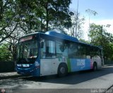 Trans Sucre 5396, por Luis Bentez