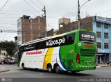 Expreso Internacional Palomino 7017 por Leonardo Saturno