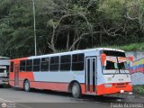 A.C. Mixta Internacional Valles del Tuy 104