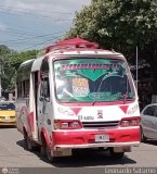 Coomicro
