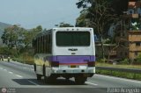 Sin identificacin o Desconocido 303