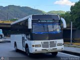 Colectivos El Vig�a 033