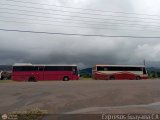 Garajes Paradas y Terminales Santa-Elena-de-Uairen