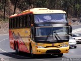 Transporte Unido (VAL - MCY - CCS - SFP) 038