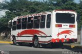 DC - A.C. de Transporte Llanito - Cafetal 95, por Pablo Acevedo