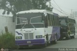 U.C. Caracas - El Junquito - Colonia Tovar 034, por Pablo Acevedo