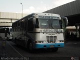 Lnea Los Andes S.C. 048, por Alfredo Montes de Oca