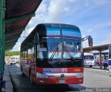Transporte Nueva Generaci�n 0290 por Santiago Dorante