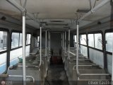 Colectivos Ro Cristal 11