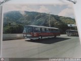 Transporte Las Delicias C.A. F-3, por TRANSPORTE LAS DELICIAS