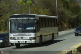 Unin Conductores Ayacucho 0017, por Pablo Acevedo