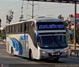E.T. Maleo VIP (Per) 952, por Leonardo Saturno
