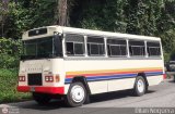 Transporte Privado Joaranny 210