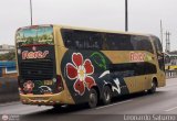 Transporte Flores Hermanos S.R.L (Per) 957, por Leonardo Saturno