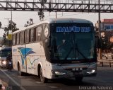 E.T. Maleo VIP (Per) 951, por Leonardo Saturno