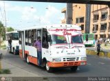 A.C. de Transporte La Raiza 008, por Jesus Valero