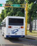 AR - Unin Coromoto 58, por Kimberly Guerrero