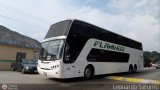 Expresos Flamingo 0115, por Leonardo Saturno