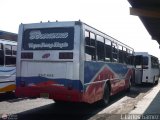Transporte Bonanza 0015