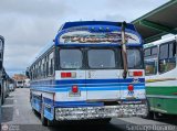 L�nea El Rosario 10