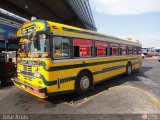 ZU - Colectivos Concepcin 052