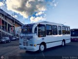 Uni�n T�chira 104