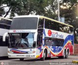 Expresos Occidente 043