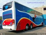 Expresos Occidente 317