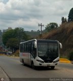 TransMiranda 131