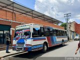 Transporte Colectivo Palo Negro 007