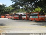 Garajes Paradas y Terminales Caracas Yutong ZK6831HE Integral Cummins ISDe 210Hp