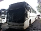 En Chiveras Abandonados Recuperacin 115, por Aly Baranauskas