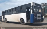 Colectivo Matera Nueva
