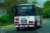 Coop. Transporte Menca de Leoni 042