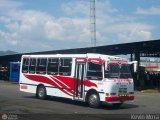A.C. de Transporte Larense 29, por Kevin Mora