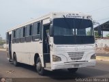 Colectivo Matera Nueva 33, por Sebastin Mercado