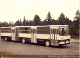 Instituto Municipal de Transporte Colectivo IMTC-IK280 Ikarus 280 Man Raba D 2156 HM6U
