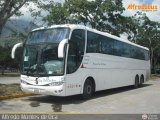 Servicios Especiales del Centro C.A. 10, por Alfredo Montes de Oca