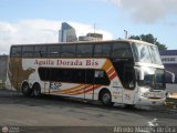 Aguila Dorada Bis