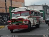 MI - Colectivos El Encanto