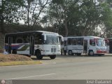 Coop. de Transporte Coromoto 29 por Jos� Dudamel