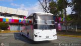 A.C. Mixta de Transporte T�chira M�rida R.L. 0208