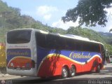 Expresos Occidente 177