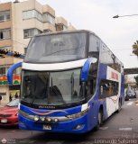 Empresa Peruana Pendiente 967