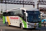 Expreso Internacional Palomino 679, por Leonardo Saturno