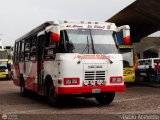Lnea El Pial A.C.