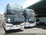 Expresos Flamingo Nuevos Yutong