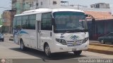 Uso Oficial  001, por Sebastin Mercado