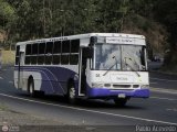 A.C. Indepasib 005